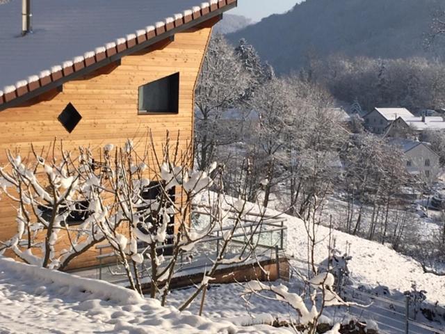 Villa Cora Venez Neuve Avec Spa Saint-Bresson Екстериор снимка