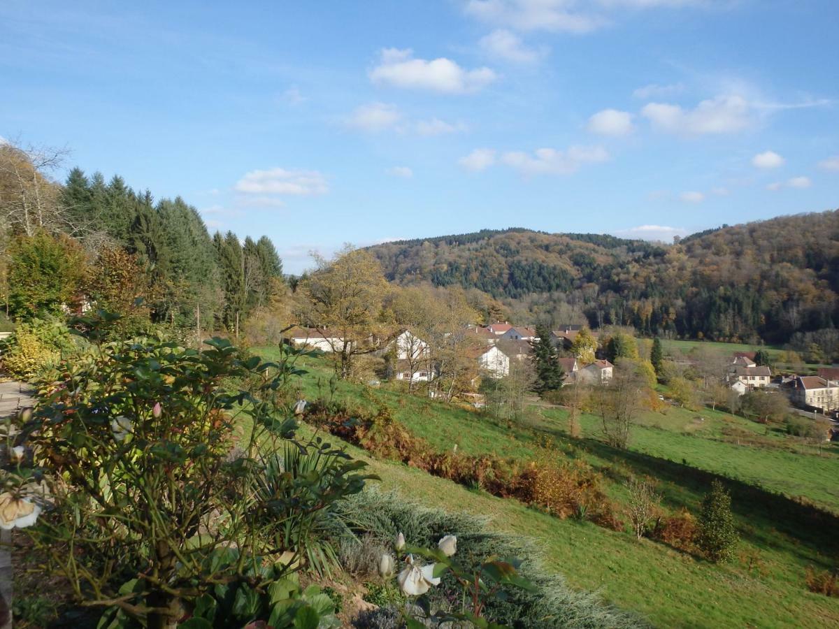 Villa Cora Venez Neuve Avec Spa Saint-Bresson Екстериор снимка
