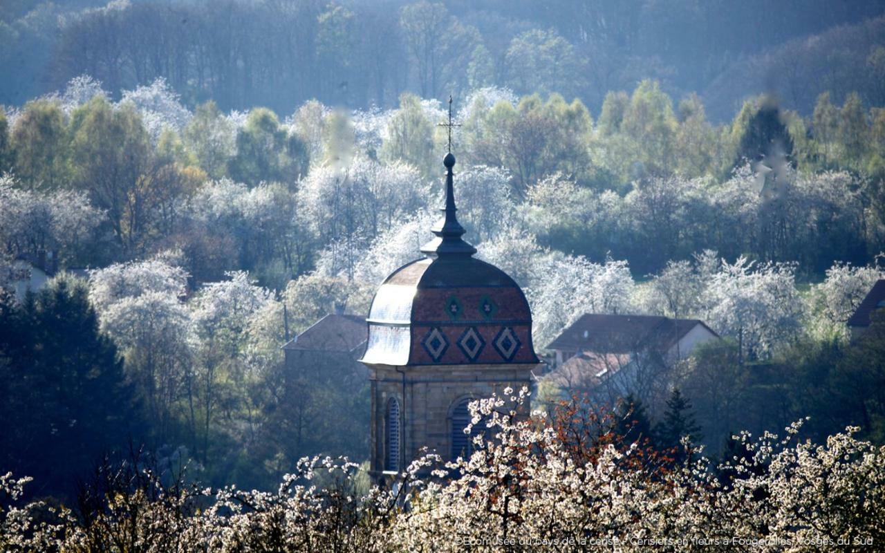 Villa Cora Venez Neuve Avec Spa Saint-Bresson Екстериор снимка